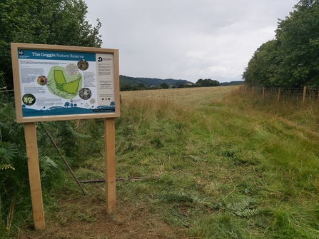 Information board with map at entrance to grassland bordered by trees and hedges