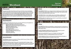 Woodland species