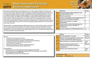 pearl-bordered fritillary SAP