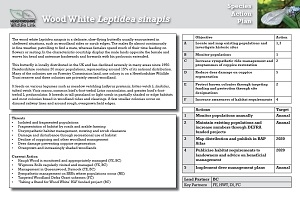 wood white SAP