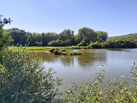 View across lake bordered by vegetation