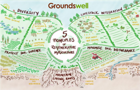 Hand-drawn farming infographic