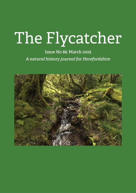 Cover of The Flycatcher journal with dark green cover, white text and photo of a stream running through woodland