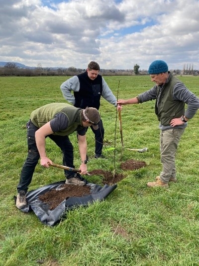 Three people planting a tree sapling in grassy field