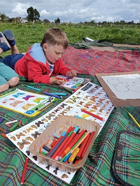 Boy lying on a blanket outdoors with pages of butterfly pictures