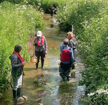 Four people wearing life jackets and holding nets stood in stream