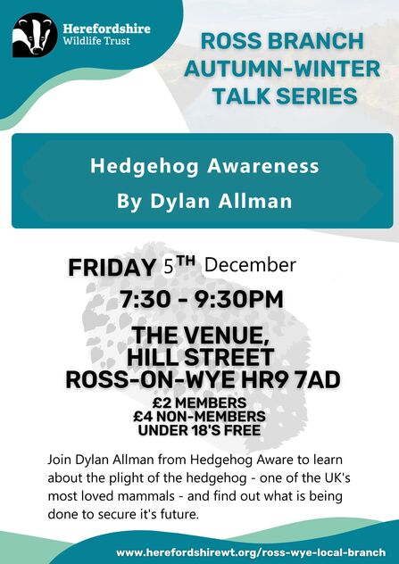 Poster with blue highlights