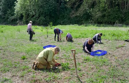 Six people kneeling spaced out around an area of grassland with spades and blue trays with them