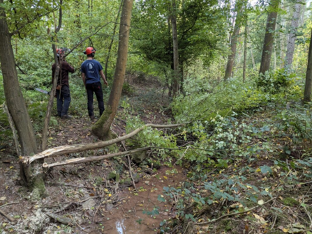 Branches pleached and laid across a small stream in a woodland. Two people just visible behind