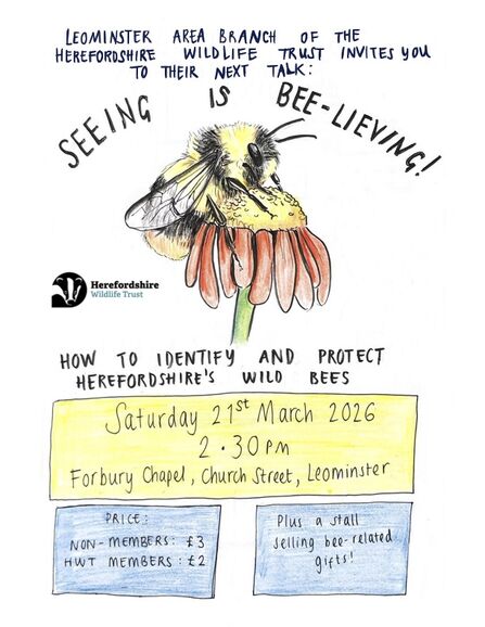 Poster with hand drawn illustration of a bumblebee on a flower and handwritten text