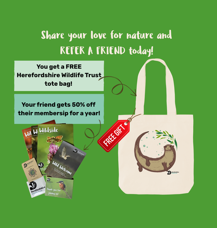 Refer a Friend  Free Gift Tote