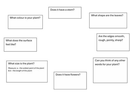 Describing Plants Activity Resource