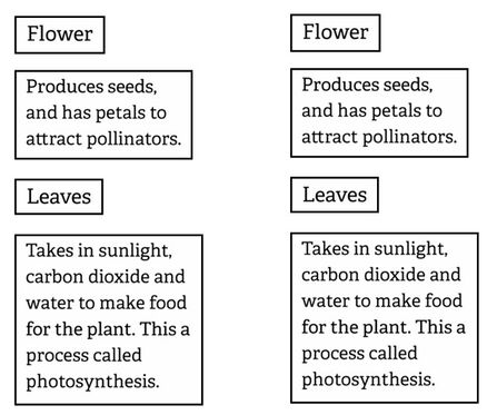 Activity document with black text