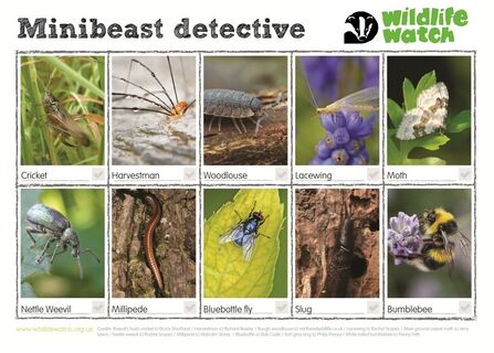 Ten images on a spotter sheet