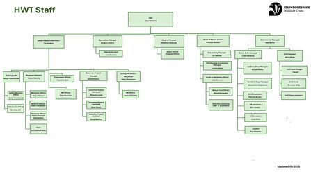 Organogram