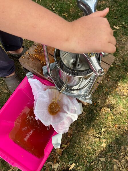 Image of someone turning the handles of an apple press and apple juice flowing from the press into a container.