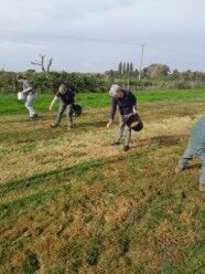 A group of 4 volunteers hand sowing wildflower seed onto the meadow.