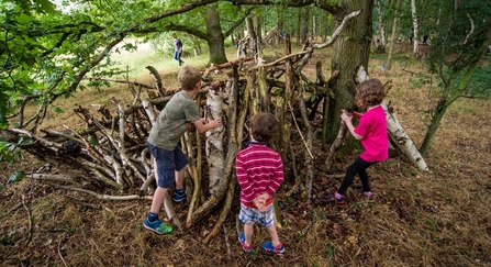 Den building