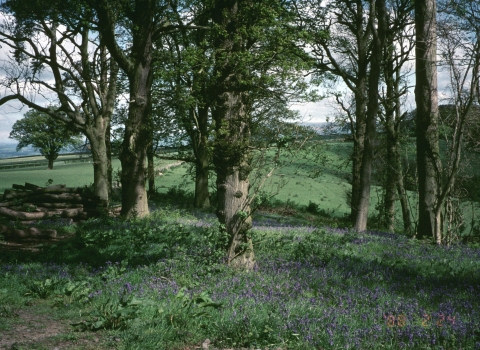 Motlins Hole