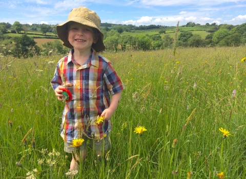 Bryn playing in a meadow