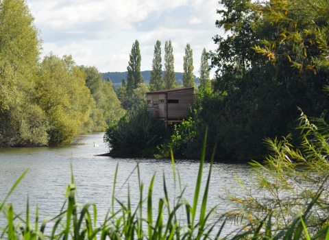 View of tree-lined lake with bird hide