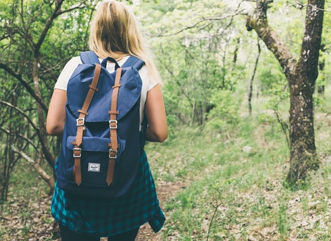 walking through woodland