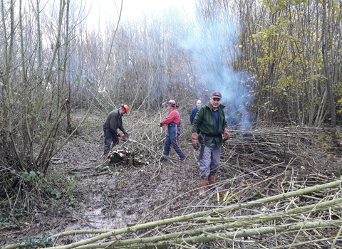 Group of people working in woodland