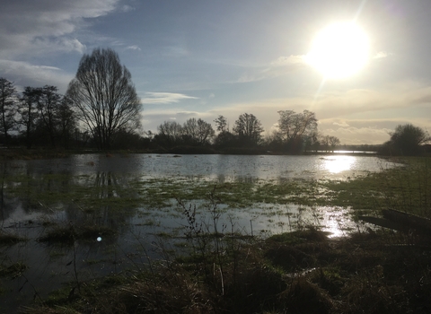 View across flooded field