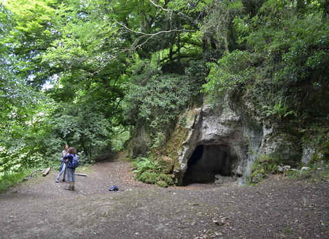 Cave in woodland