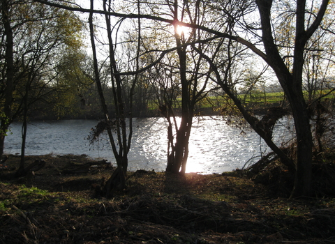 Water seen through dark silhouettes of trees, low sun behind