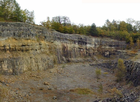 Old quarry with grey rock faces and encroaching vegetation