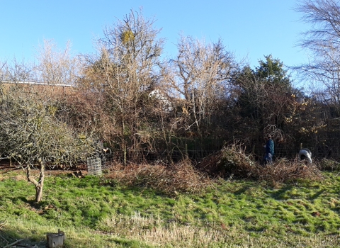 Field with small trees and the roof of a house just visable behind