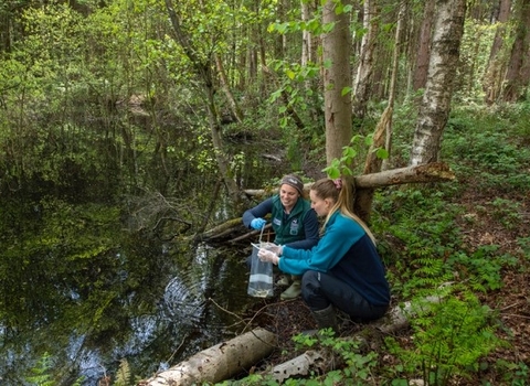 Two women surveying a pond in a wooded area