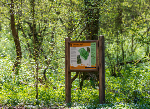 Information board in woodland