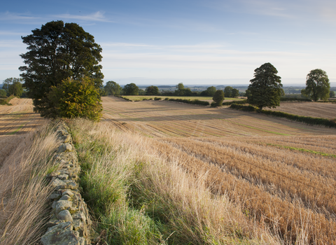 Treescapes Working with farmers and landowners