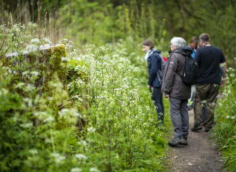 Treescapes HABI mapping (c) Nick Turner