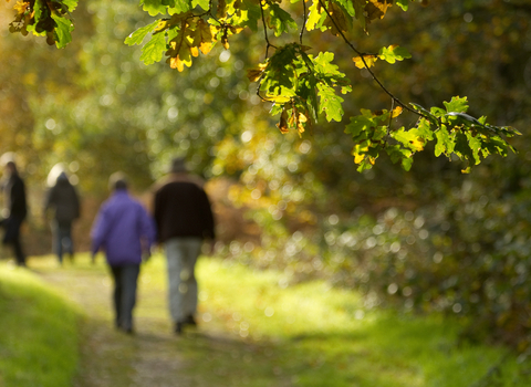 Treescapes People walking in woodland (c) Ben Miller