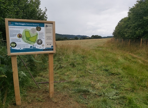 Information board with map at entrance to grassland bordered by trees and hedges