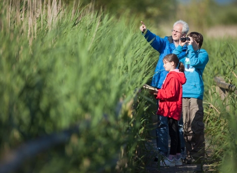 family birdwatching in wetland 
