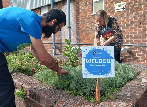 Two people gardening in urban area
