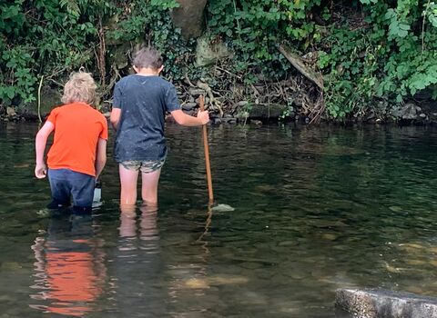 Back view of two small boys stood thigh-deep in a stream 