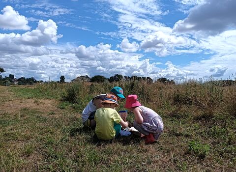 Four small children sat together in a field in summer