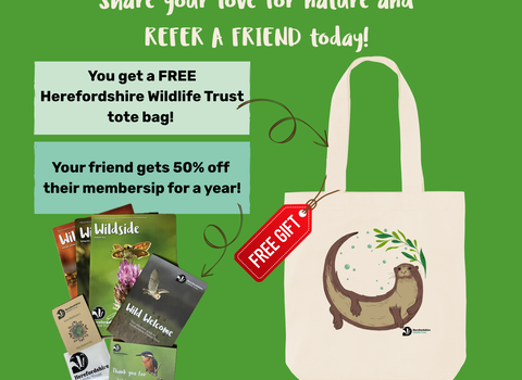 Refer a Friend  Free Gift Tote