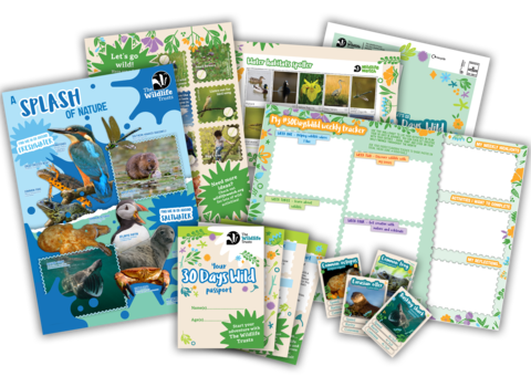 A collage of 30 Days Wild kids' resources, including a poster, spotting sheets and trading cards