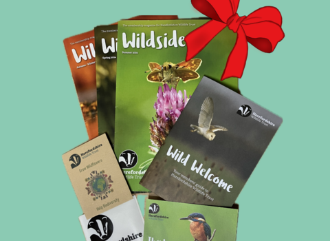 Gift membership