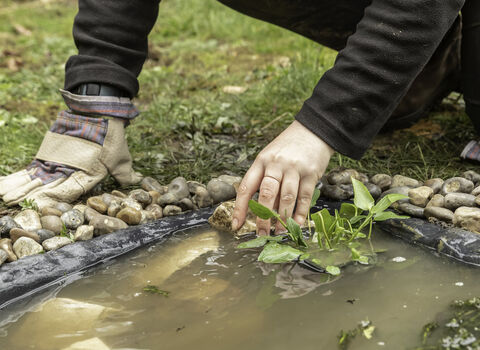 practical talk on pond building